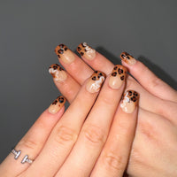 Wild Leopard