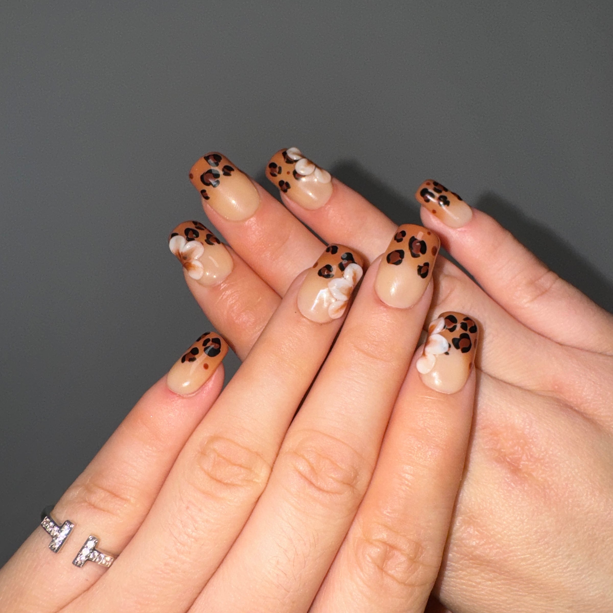 Wild Leopard