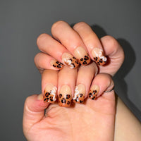 Wild Leopard