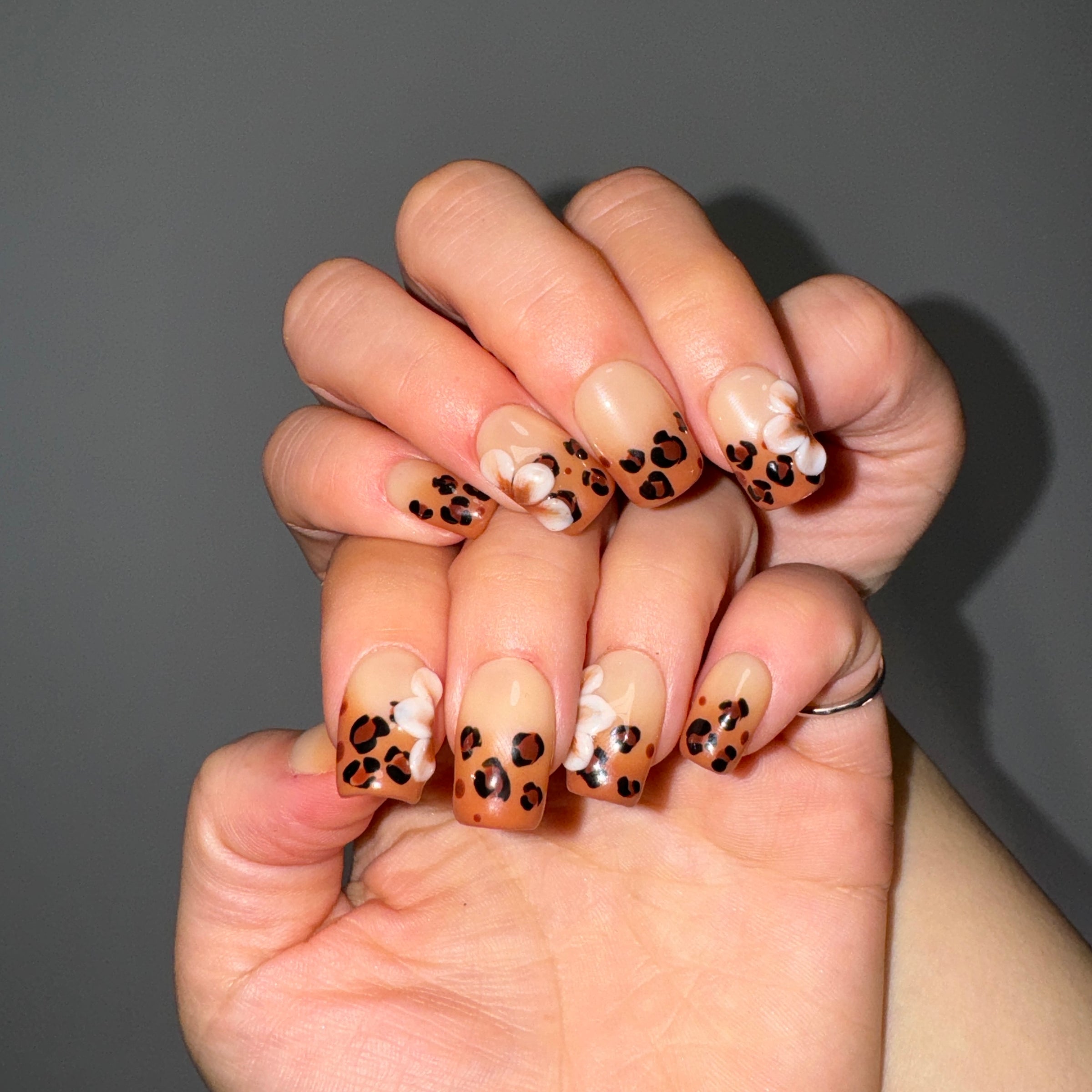 Wild Leopard