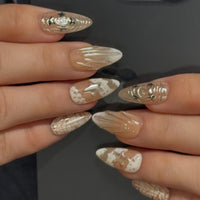 Seashell Dream